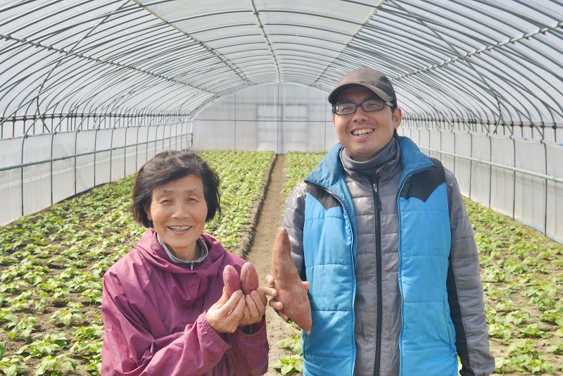 【徳島】なると金時の木内農園 – [Tokushima] Sweet potato “Naruto Kintoki” of Kinouchi farm