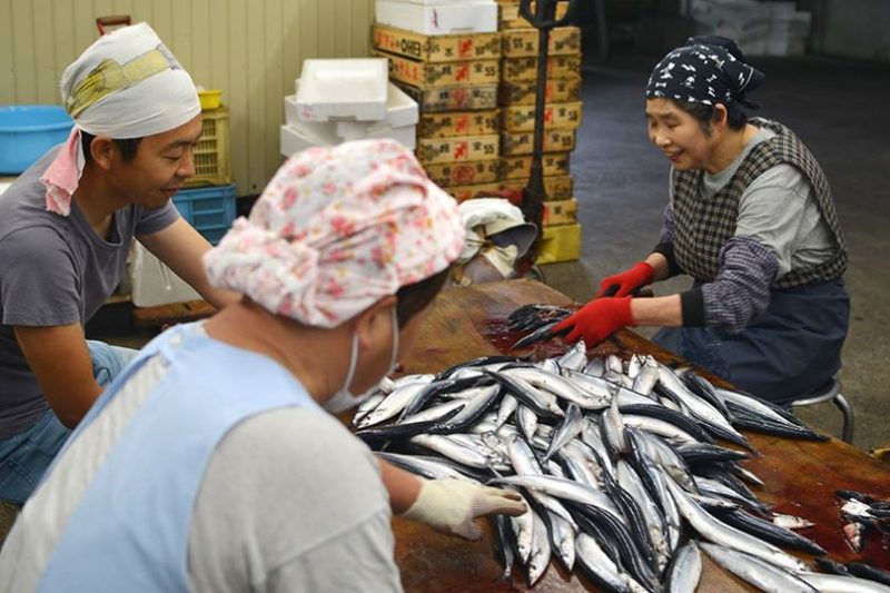 創業江戸時代末期、徳島県牟岐町の老舗の干物屋、泉源（いずげん）