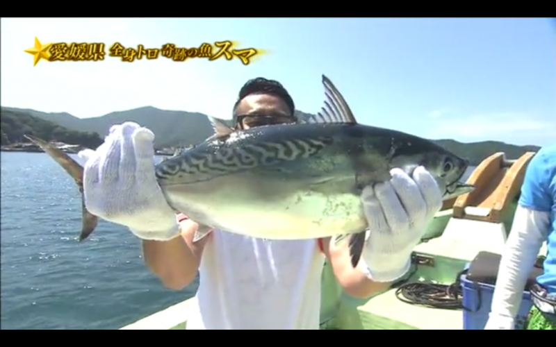 【日テレ9月17日18:30〜】愛媛県愛南町のスマ！「満天☆青空レストラン」