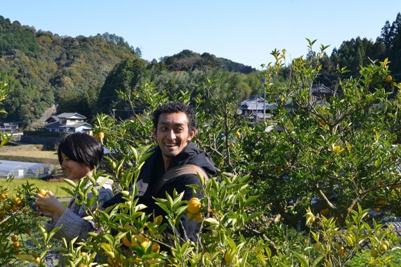 食の農村フィールドワーク 佐那河内村（さなごうちそん）