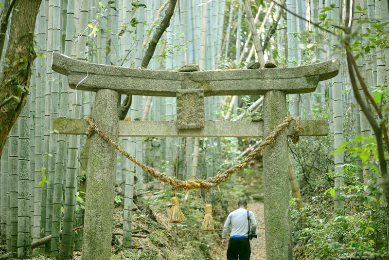 山口県熊毛郡田布施町『後井古墳（ごいこふん）』 – Goi Mounded Tomb