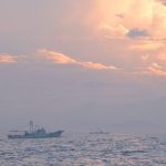 瀬戸内漁船取材。梅雨明け、夜の海底を泳ぐ鱧（はも）を追う – Got in a fishing boat of Conger pikes at Seto Inland Sea