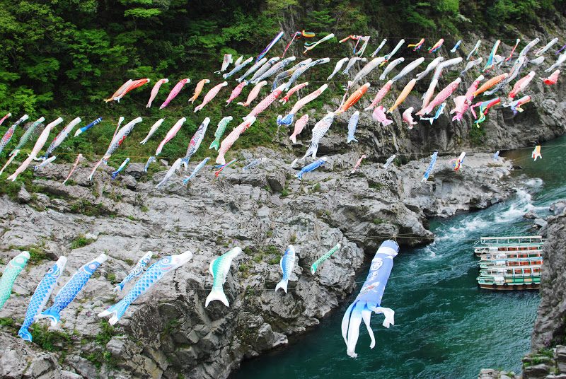 【徳島 3月下旬～5月末迄】鯉のぼり 秘境大歩危峡を泳ぐ – [Tokushima March-May]The carp streamers of Iya valley