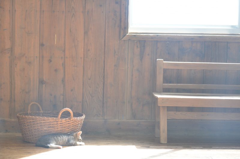 【佐柳島】海を眺める木造校舎『ネコノシマホステル』 – [Sanagijima island] Neconoshima hostel & cafe in sanagijima island