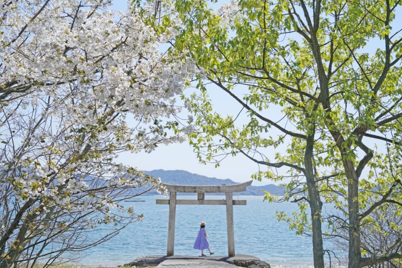 瀬戸内海、粟島の宿『ル・ポール粟島』 – Le Port Awashima at the island of Setouchi