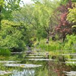 【高知】クロード・モネが愛した風景。マルモッタン モネの庭 – [Kochi] Monet’s Garden Marmottan in Kitagawa Village