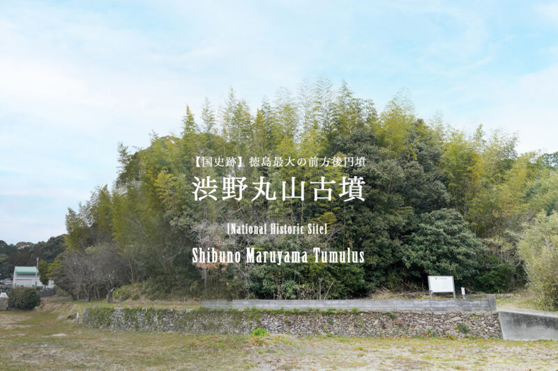 【国史跡】徳島最大の前方後円墳『渋野丸山古墳』 – [National Historic Site] Shibuno Maruyama Tumulus