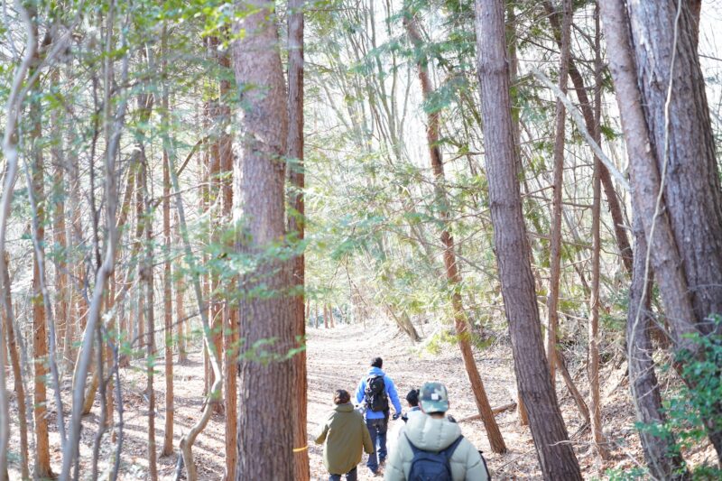 辰年に香川県最高峰、竜王山へ – Climbing Mt Ryuoh, the highest peak in Kagawa Prefecture, in the Year of the Dragon.