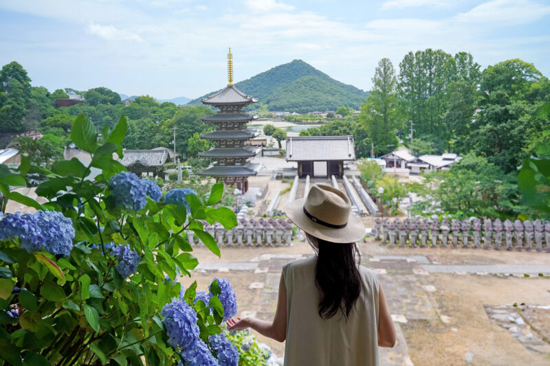 【香川】仏生山 来迎院 法然寺（ほうねんじ） – [Kagawa] Houenji Temple, Raigoin, Busshozan