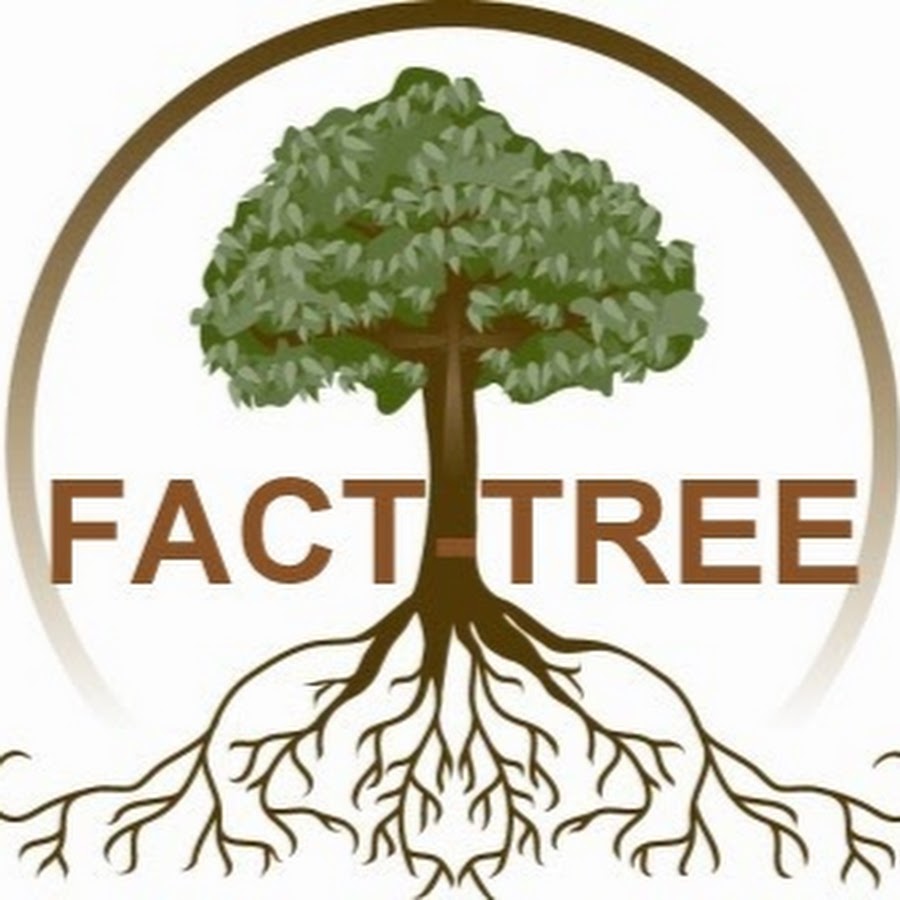 FACT TREE - YouTube