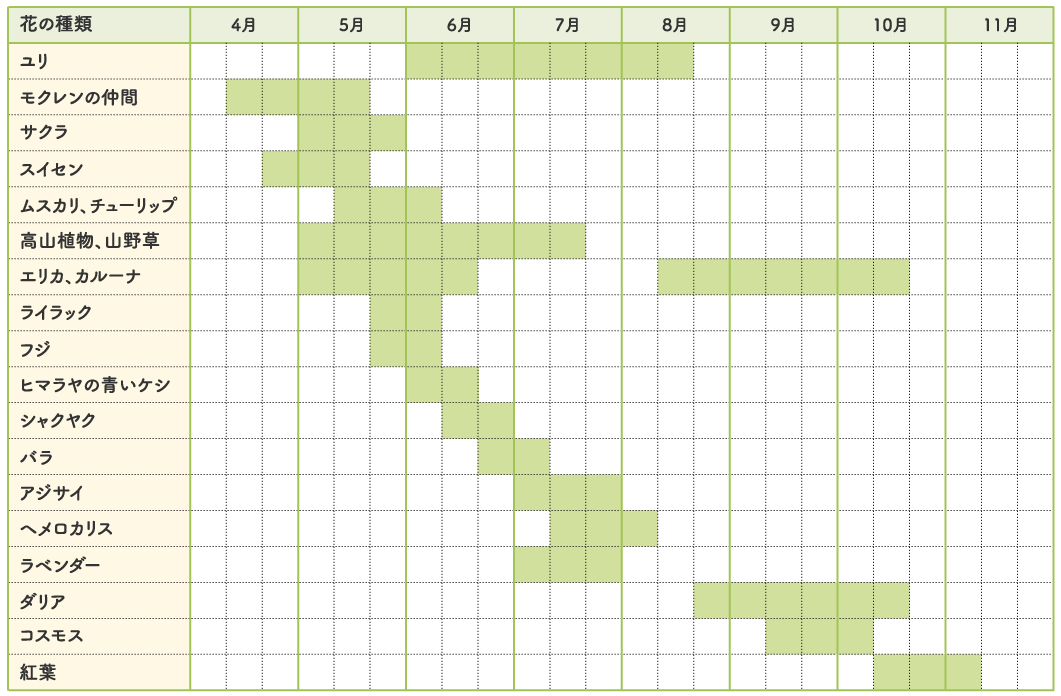 開花カレンダー