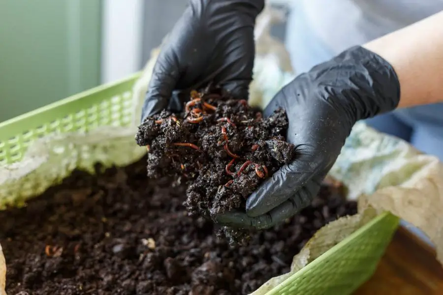 indoor composting