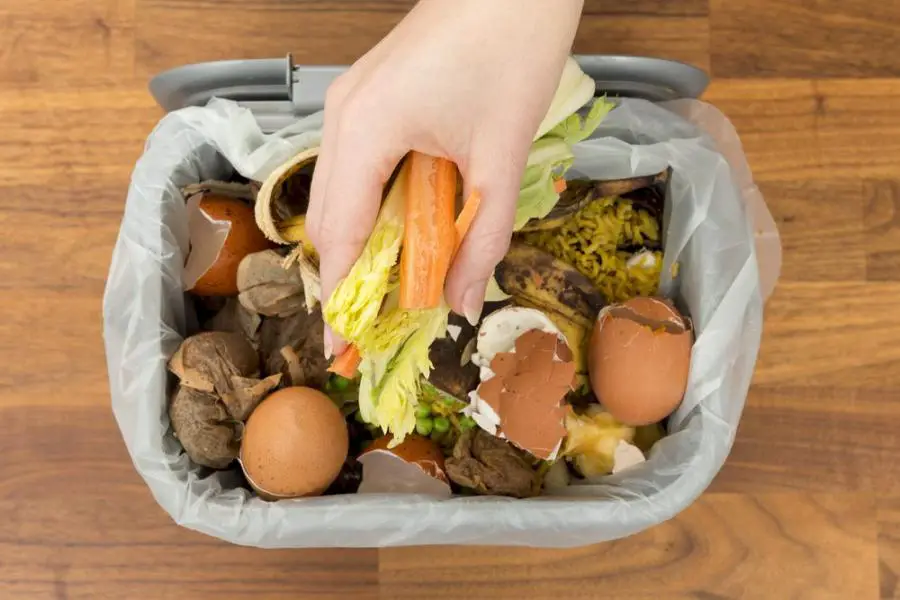 indoor composting