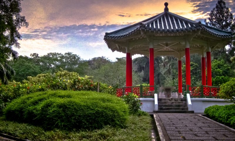 Yunnan Garden