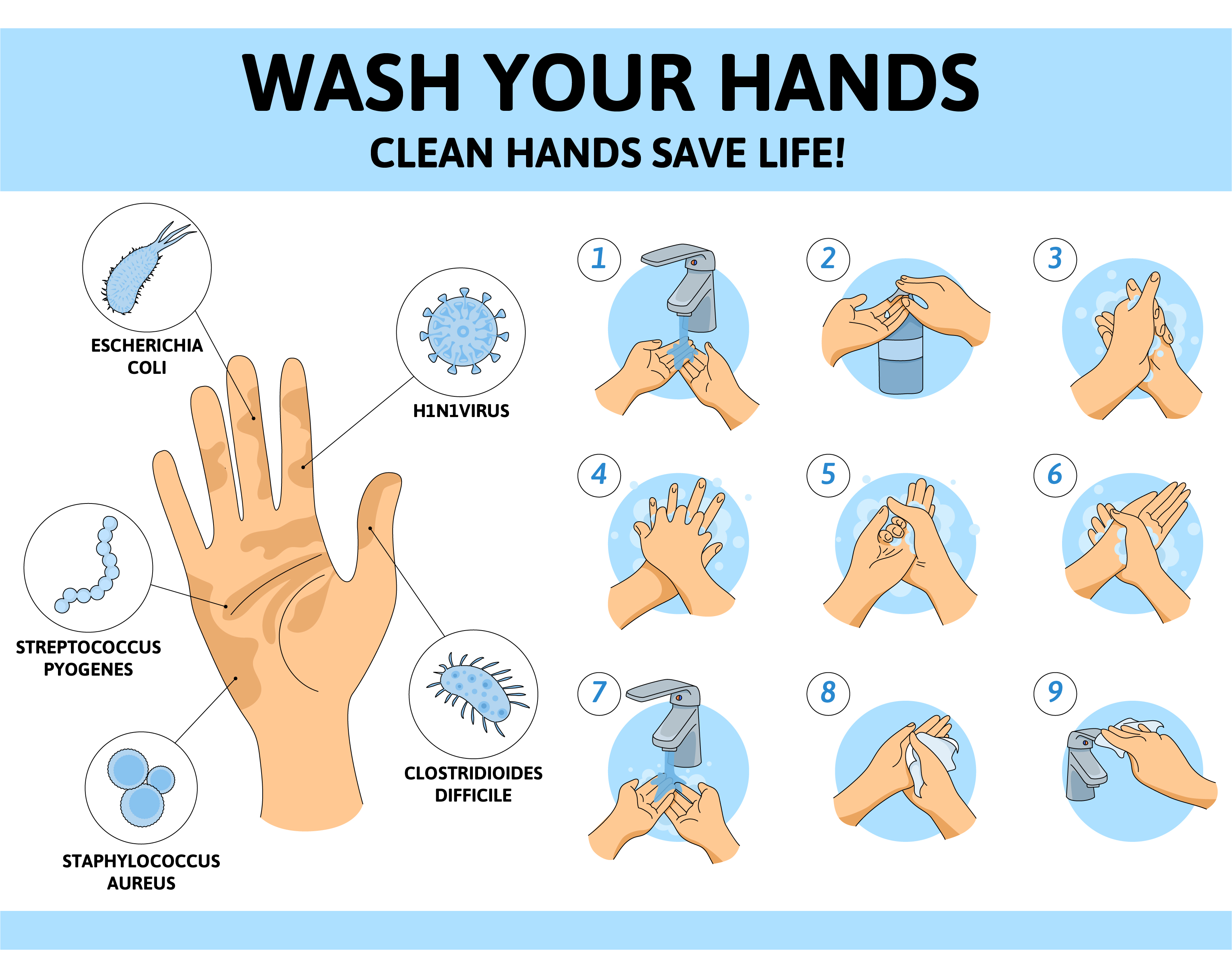 Hand Washing Poster Handwashing Poster Handwashing Steps Shorts ...