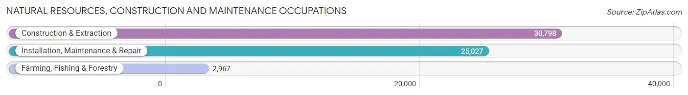 Natural Resources, Construction and Maintenance Occupations in Area Code 601