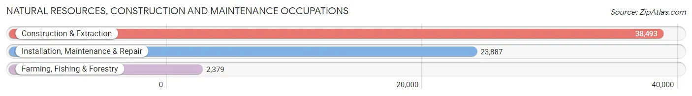 Natural Resources, Construction and Maintenance Occupations in Area Code 603