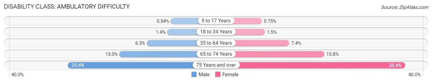 Disability in Area Code 904: <span>Ambulatory Difficulty</span>