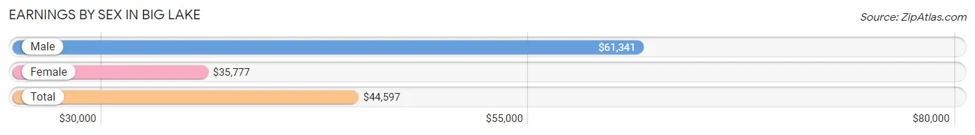 Earnings by Sex in Big Lake