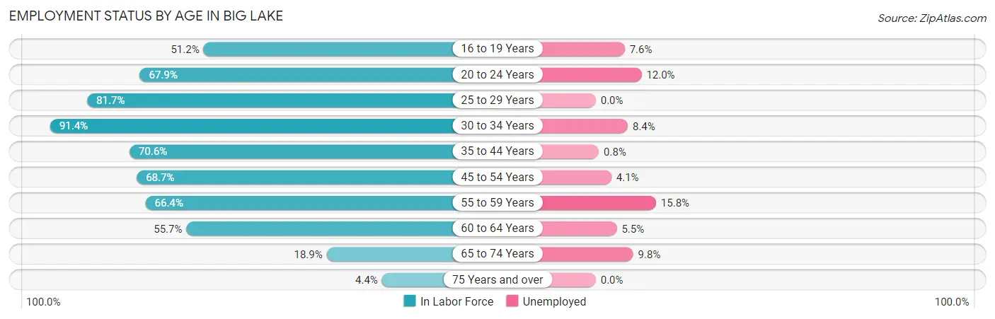 Employment Status by Age in Big Lake