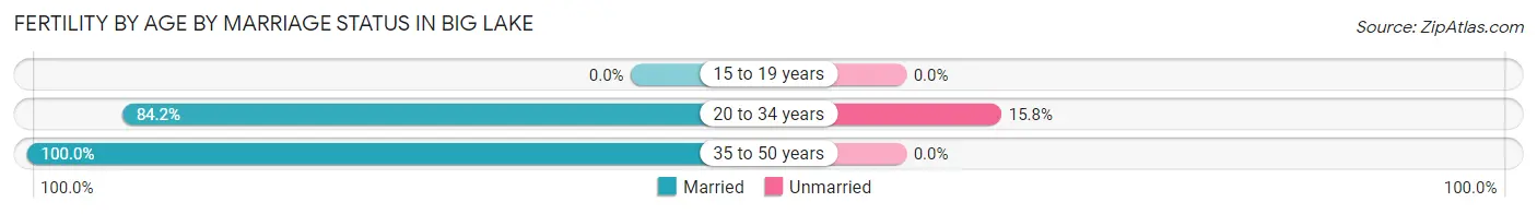 Female Fertility by Age by Marriage Status in Big Lake