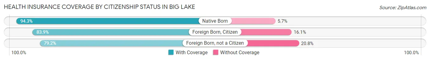 Health Insurance Coverage by Citizenship Status in Big Lake