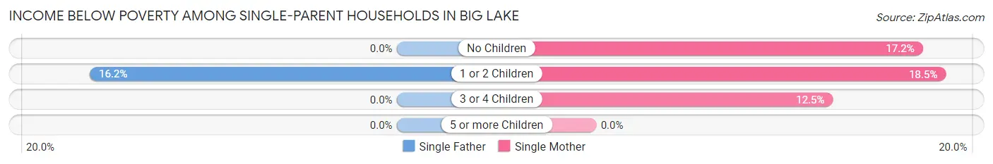 Income Below Poverty Among Single-Parent Households in Big Lake