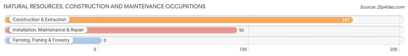 Natural Resources, Construction and Maintenance Occupations in Big Lake