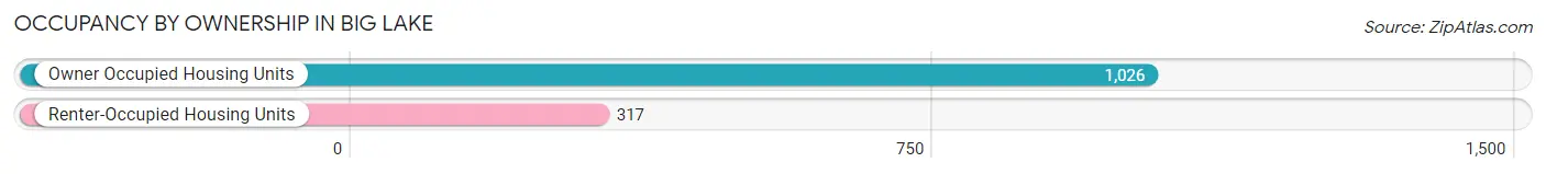 Occupancy by Ownership in Big Lake