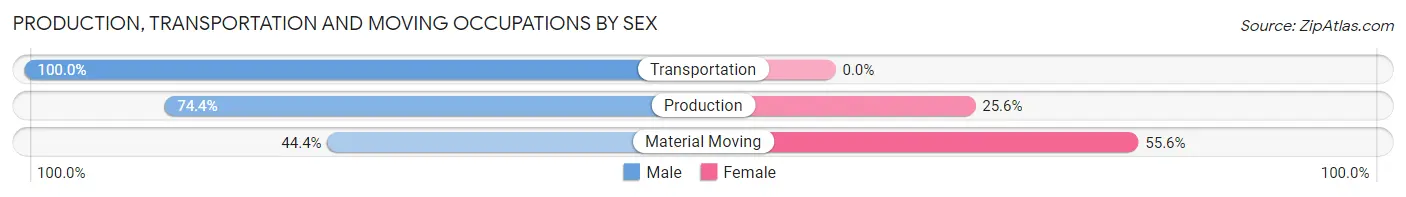 Production, Transportation and Moving Occupations by Sex in Big Lake