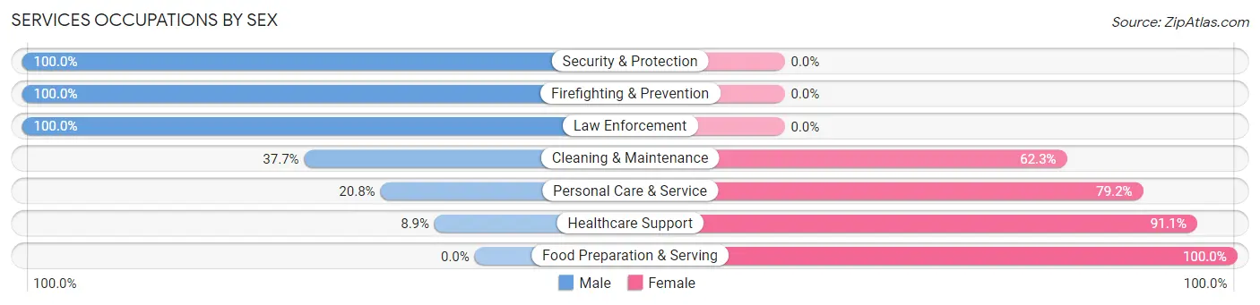 Services Occupations by Sex in Big Lake