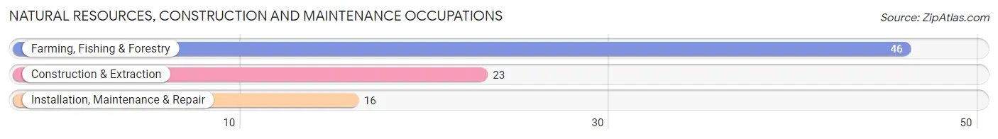 Natural Resources, Construction and Maintenance Occupations in Womens Bay