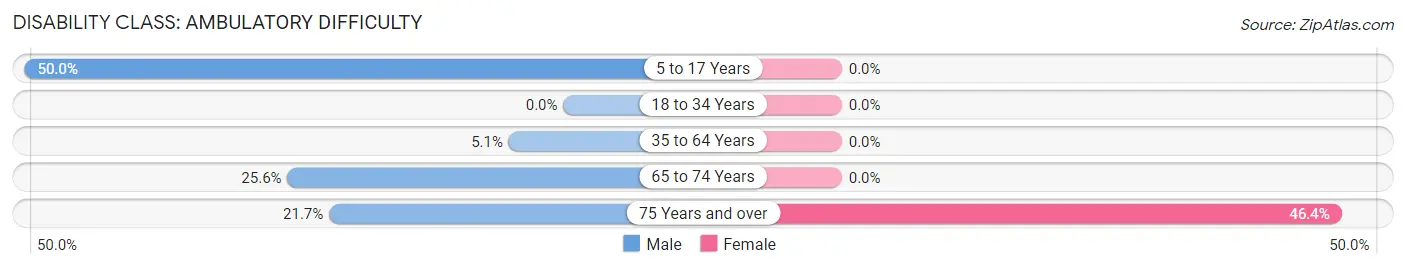 Disability in Bangor: <span>Ambulatory Difficulty</span>