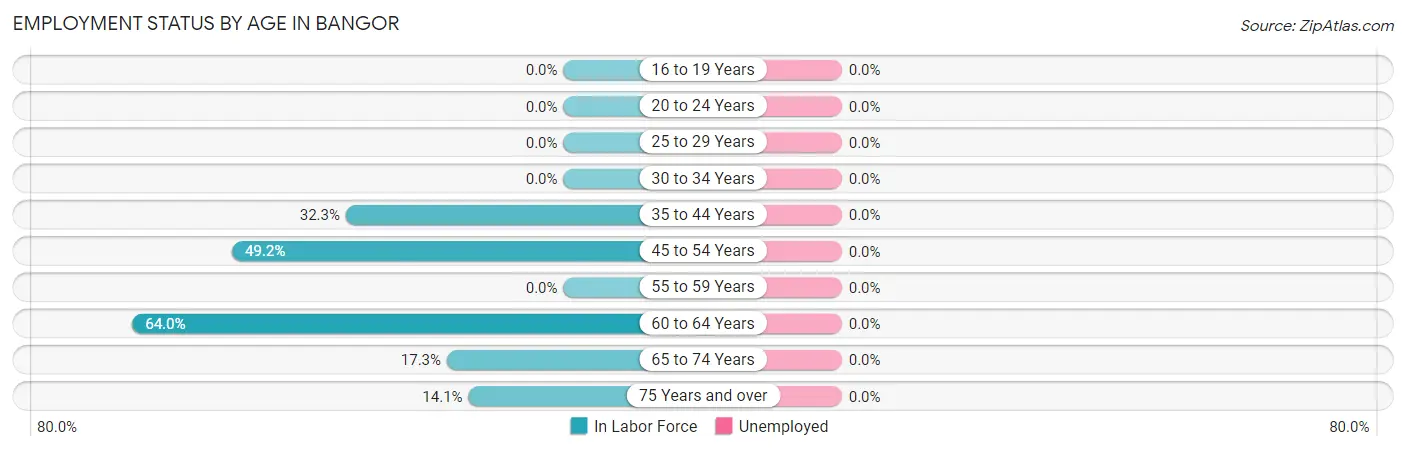 Employment Status by Age in Bangor