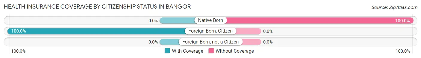 Health Insurance Coverage by Citizenship Status in Bangor