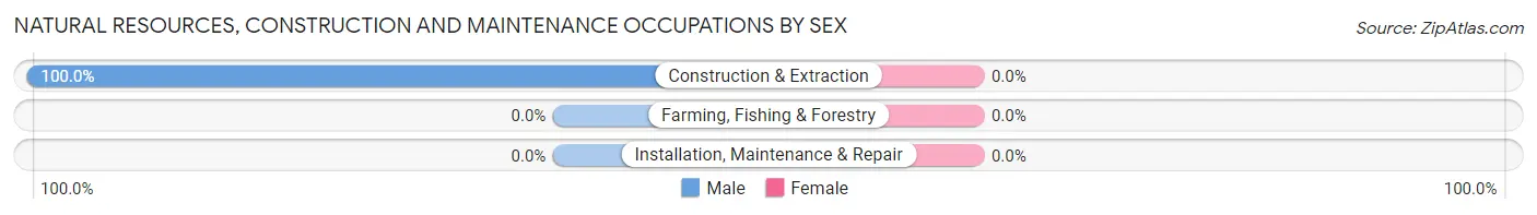 Natural Resources, Construction and Maintenance Occupations by Sex in Bangor