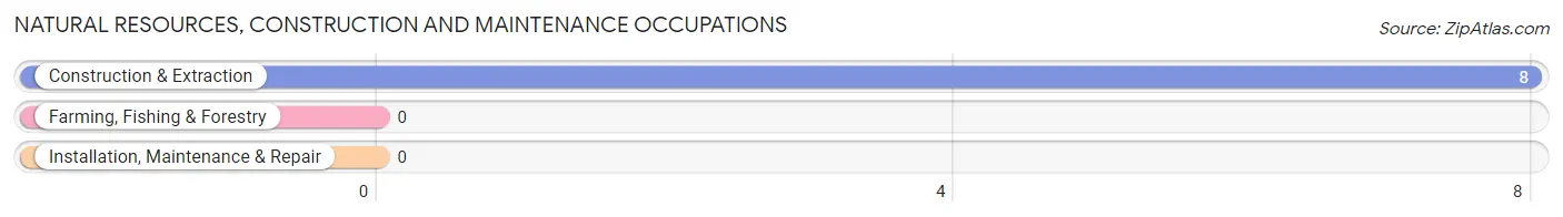 Natural Resources, Construction and Maintenance Occupations in Bangor