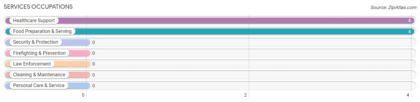 Services Occupations in Bangor