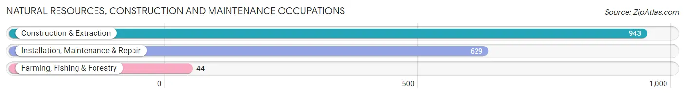 Natural Resources, Construction and Maintenance Occupations in Orangevale