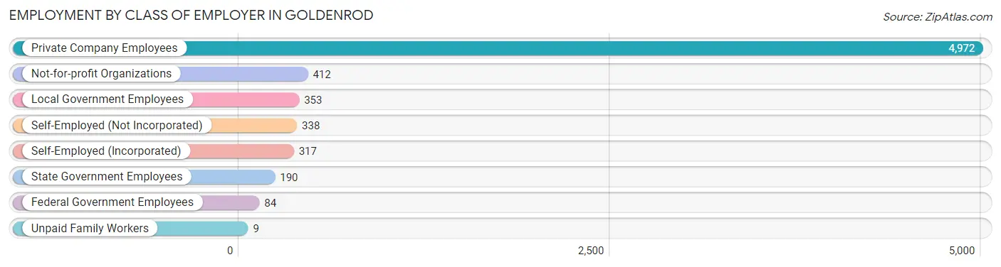 Employment by Class of Employer in Goldenrod