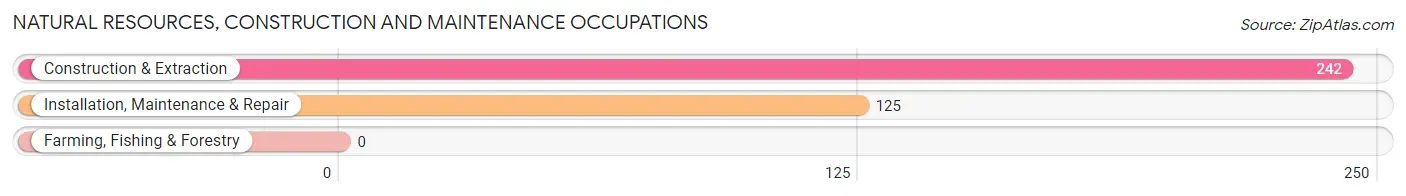 Natural Resources, Construction and Maintenance Occupations in Goldenrod