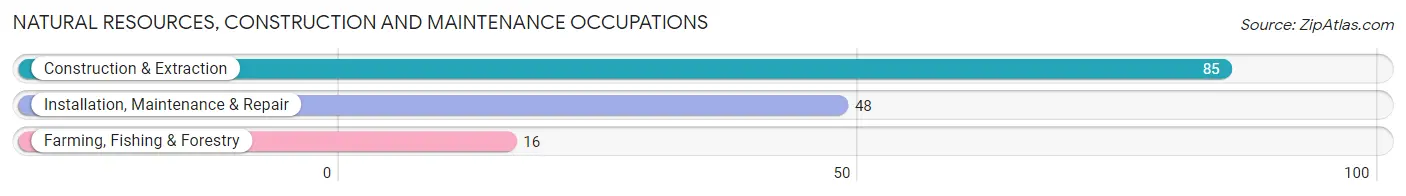 Natural Resources, Construction and Maintenance Occupations in Lady Lake