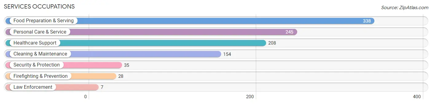 Services Occupations in Lady Lake