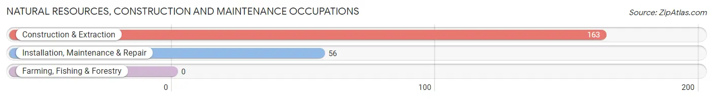 Natural Resources, Construction and Maintenance Occupations in Pine Air