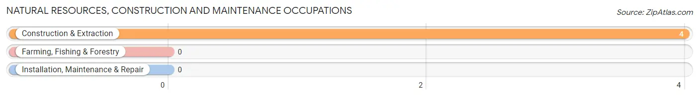 Natural Resources, Construction and Maintenance Occupations in Tybee Island