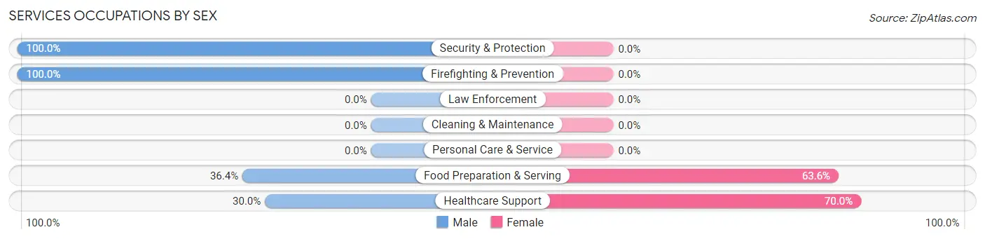 Services Occupations by Sex in Garrison