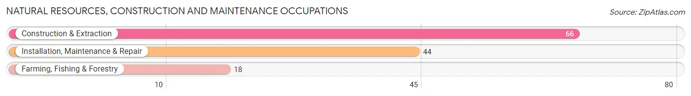 Natural Resources, Construction and Maintenance Occupations in Jesup