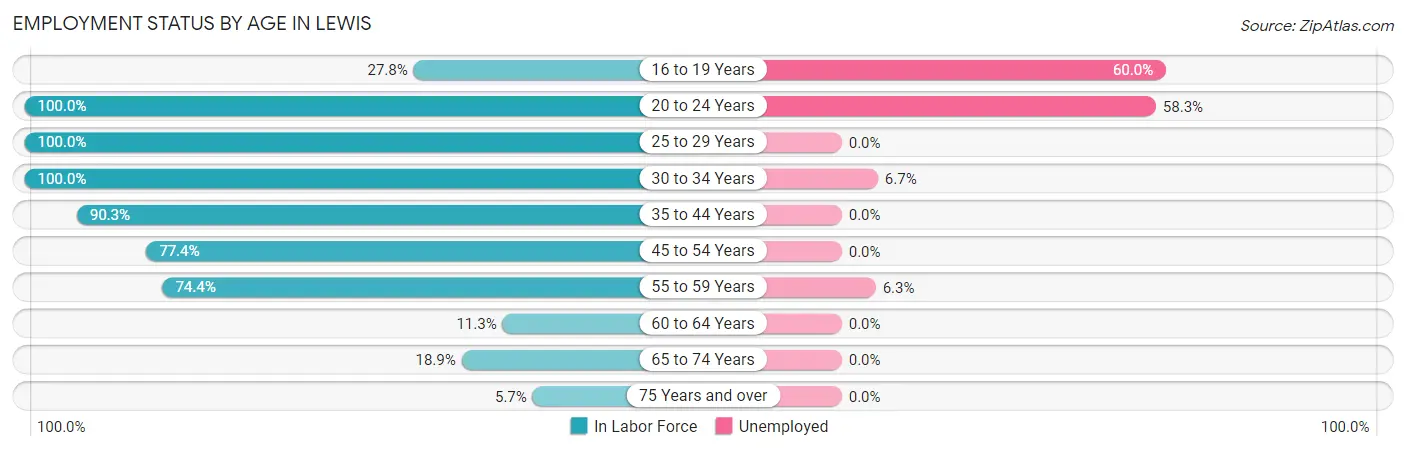 Employment Status by Age in Lewis