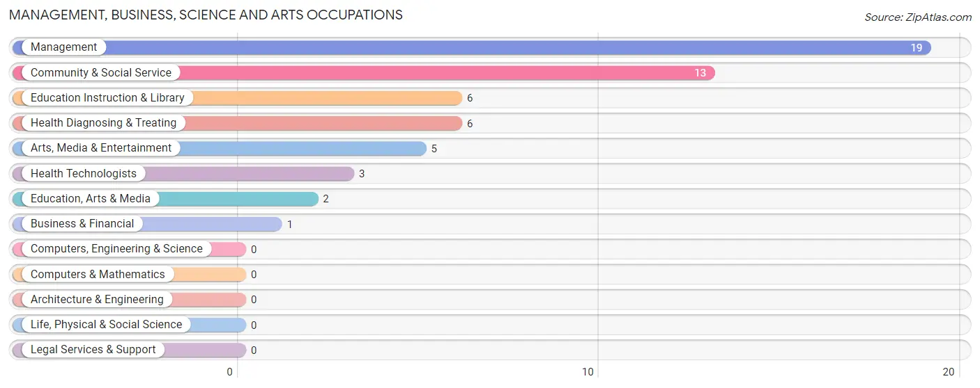 Management, Business, Science and Arts Occupations in Lewis