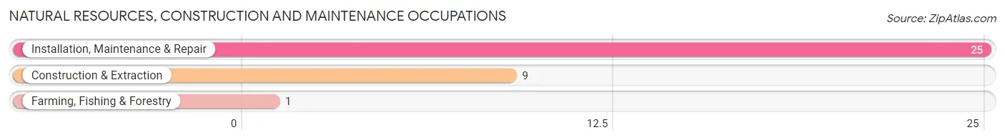 Natural Resources, Construction and Maintenance Occupations in Lewis